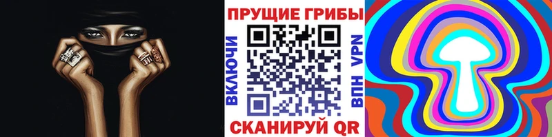 Купить  Наро-Фоминск  Псилоцибиновые грибы GOLDEN TEACHER 
